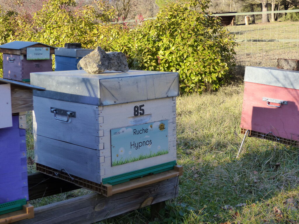 La ruche Hypnos