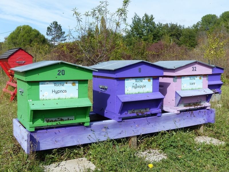 La ruche Hypnos