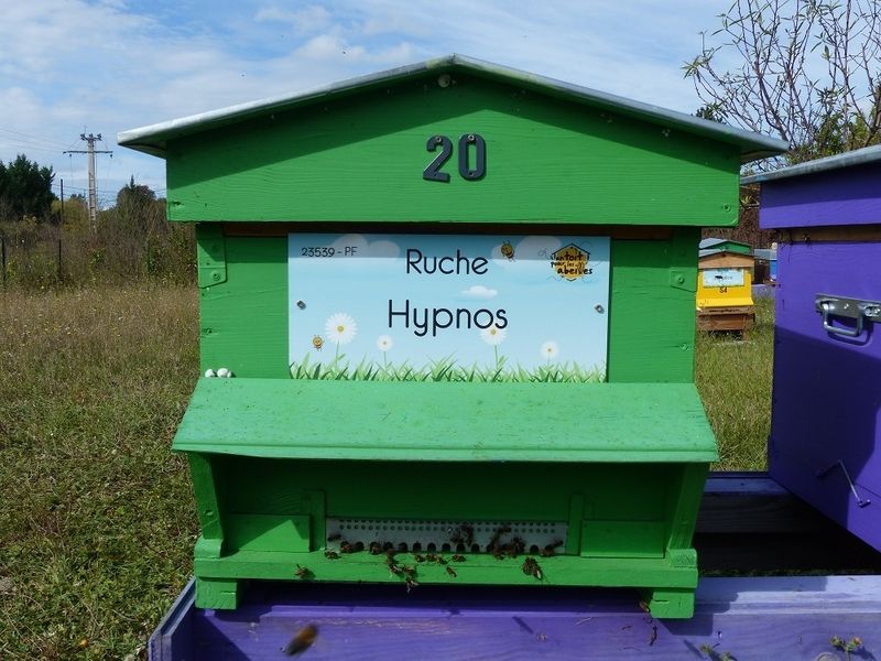 La ruche Hypnos