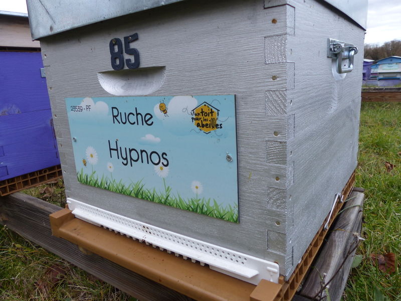 La ruche Hypnos