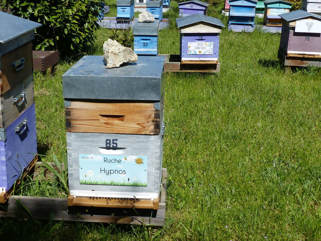 La ruche Hypnos