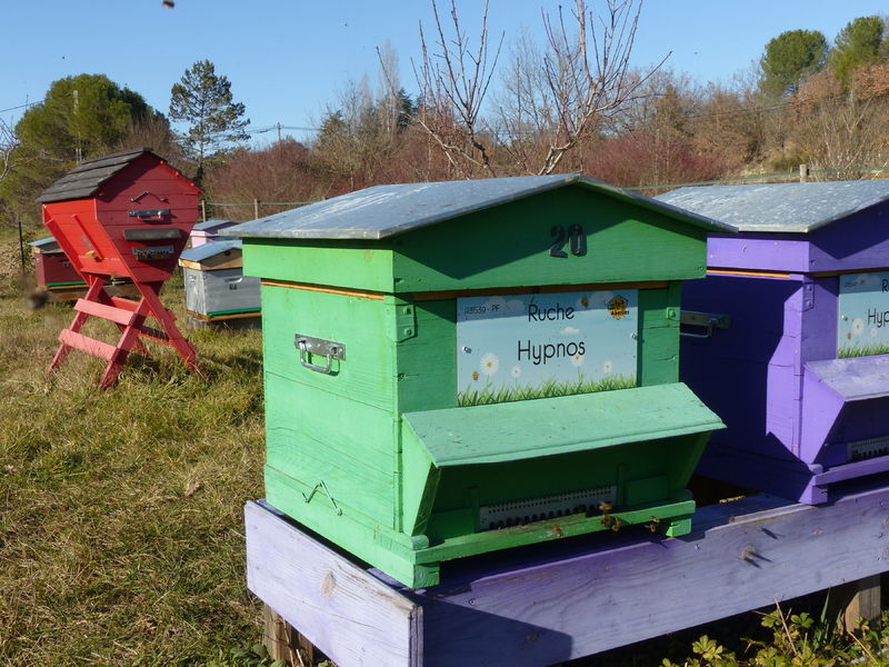 La ruche Hypnos