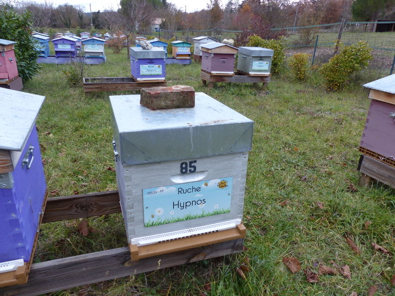 La ruche Hypnos