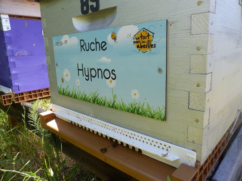 La ruche Hypnos