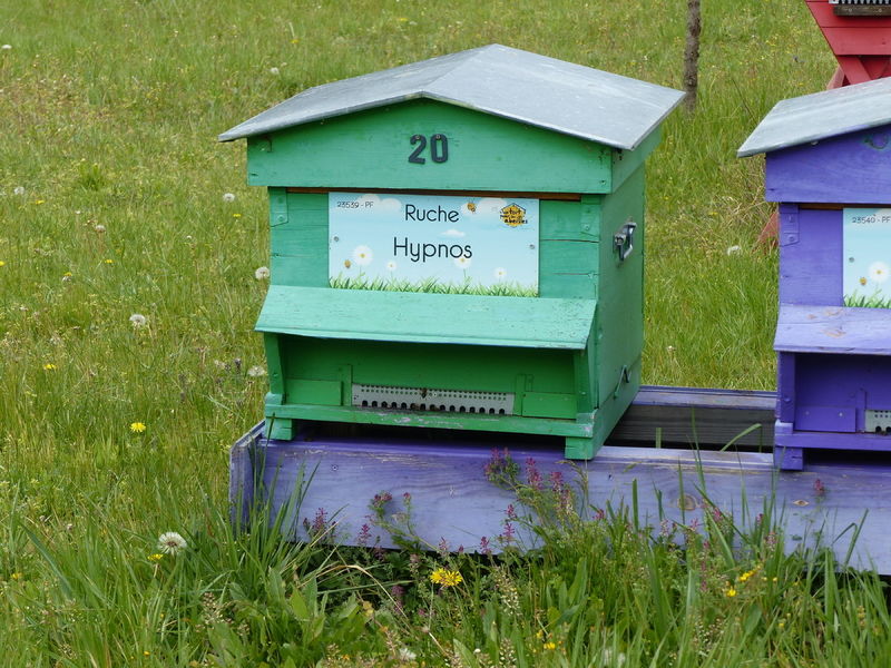 La ruche Hypnos