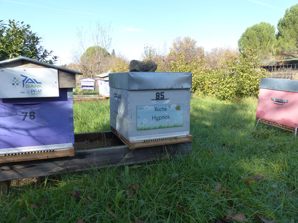La ruche Hypnos