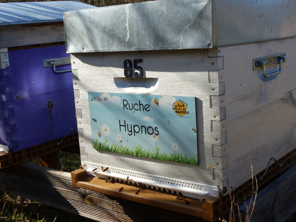 La ruche Hypnos