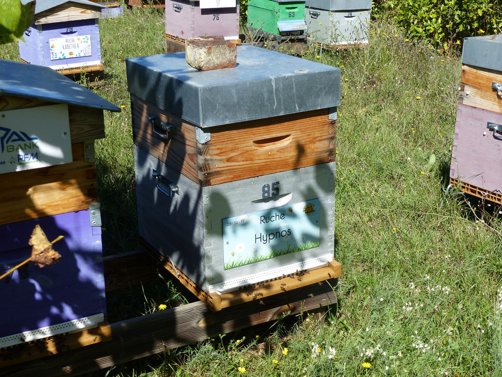 La ruche Hypnos