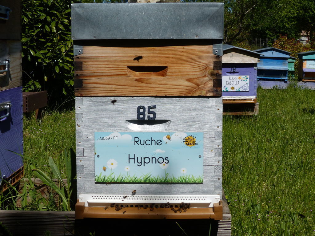 La ruche Hypnos