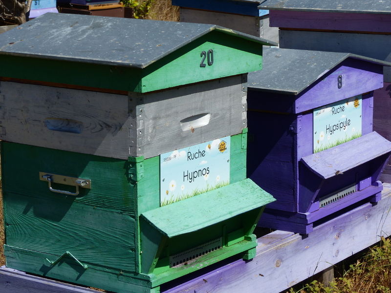 La ruche Hypnos