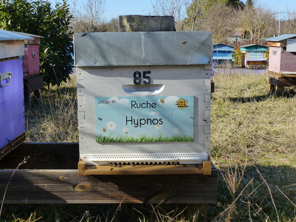 La ruche Hypnos