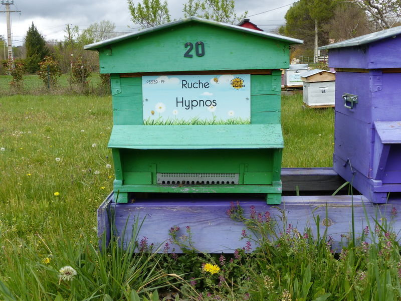 La ruche Hypnos