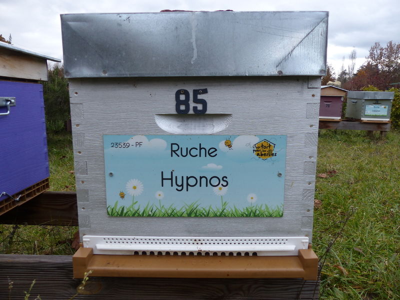 La ruche Hypnos