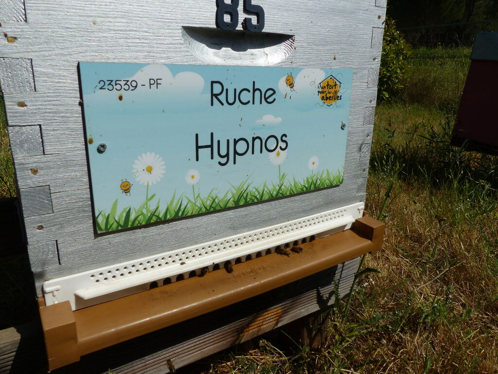 La ruche Hypnos