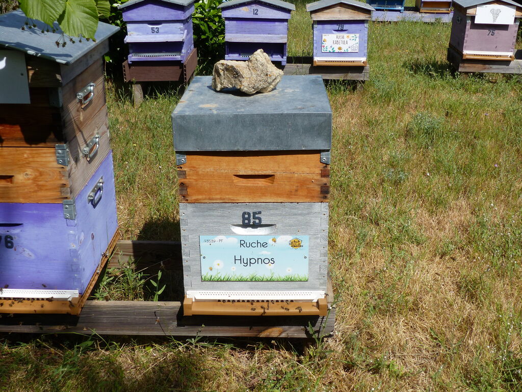 La ruche Hypnos