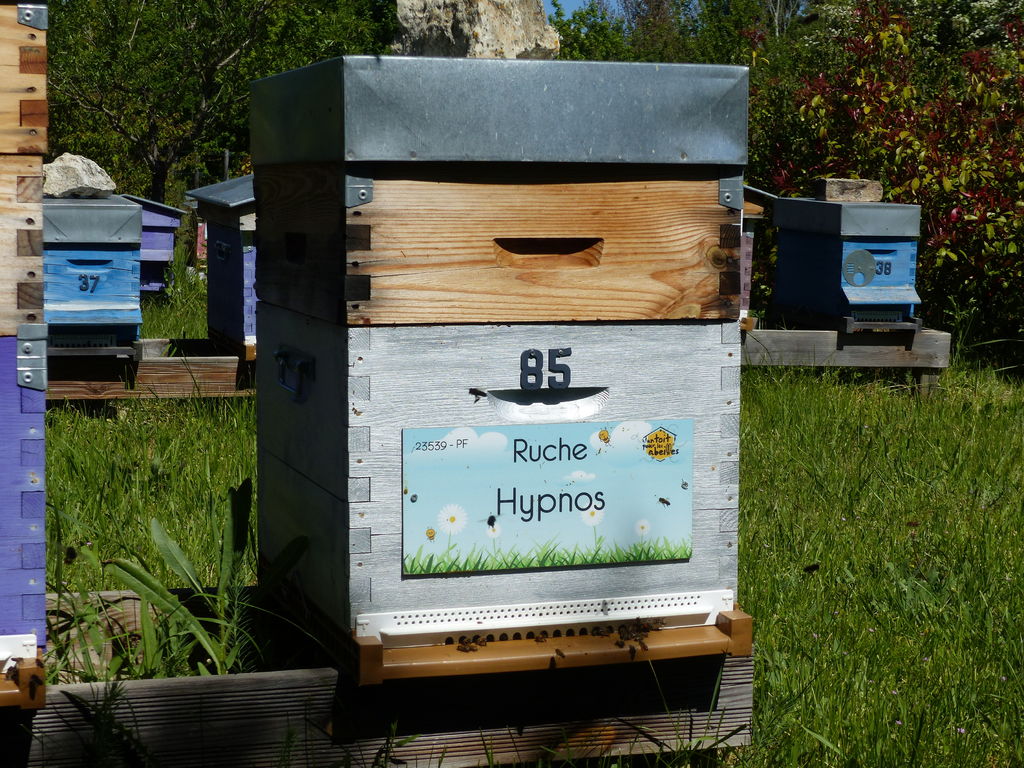 La ruche Hypnos