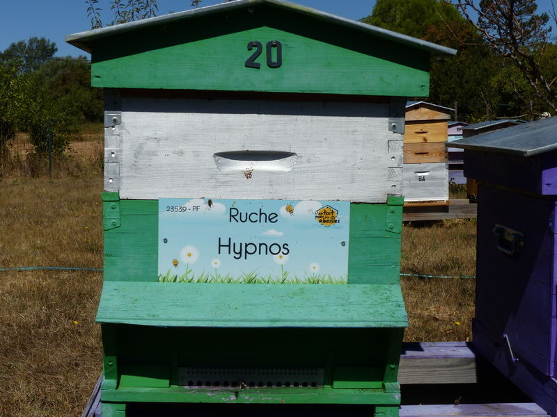 La ruche Hypnos