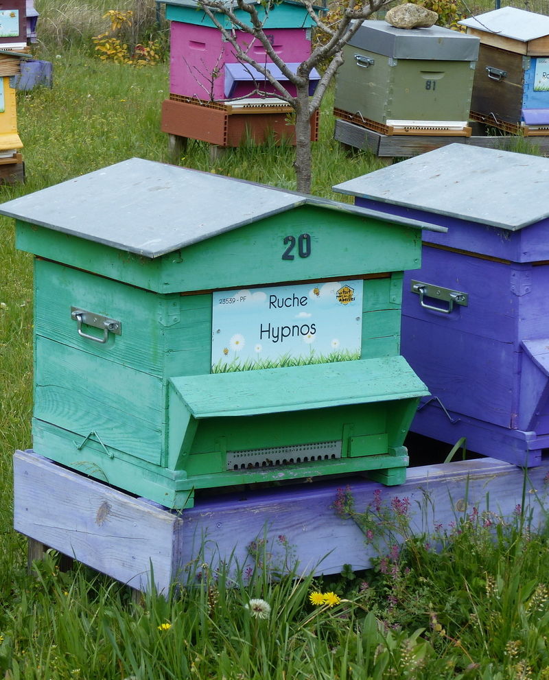 La ruche Hypnos