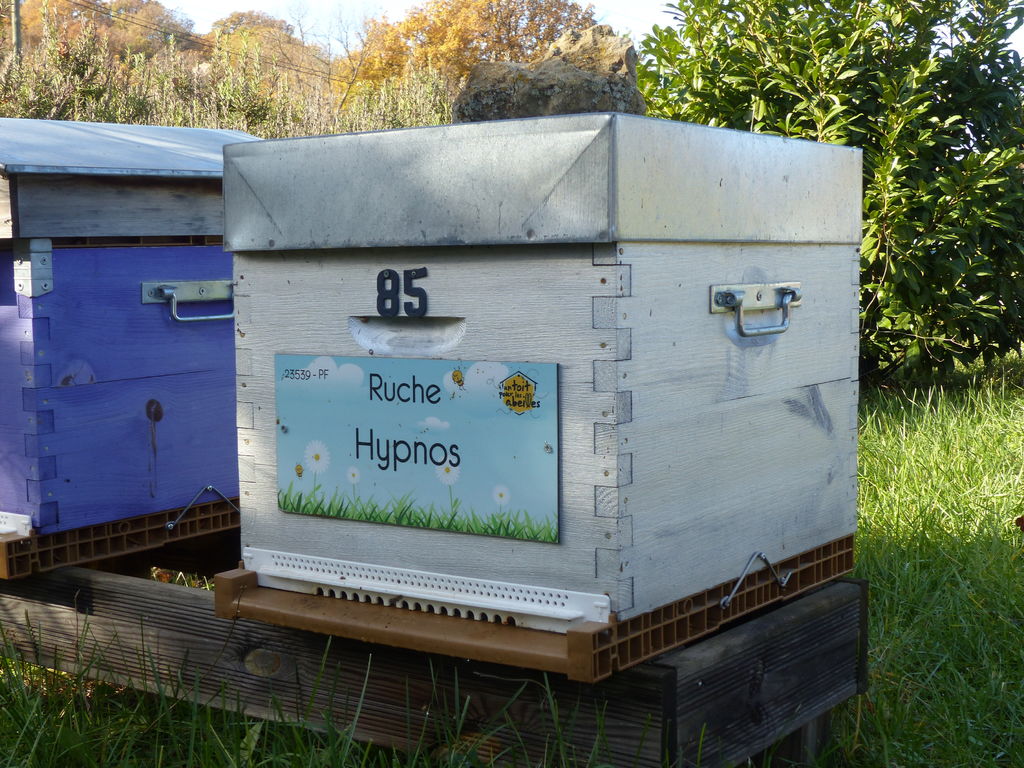 La ruche Hypnos