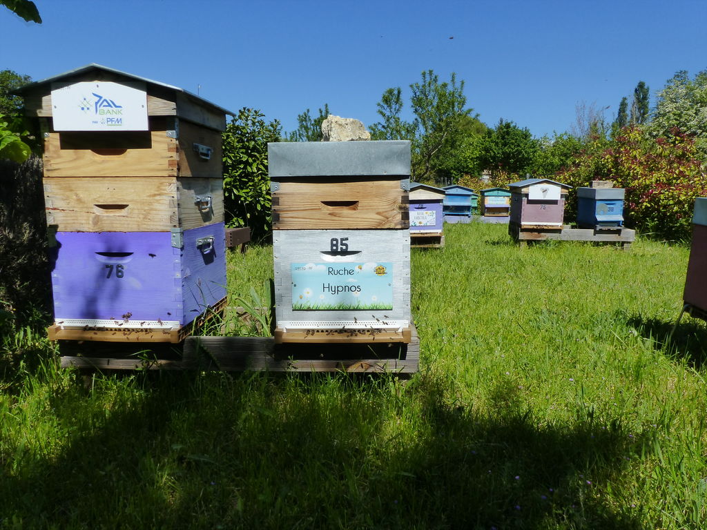 La ruche Hypnos