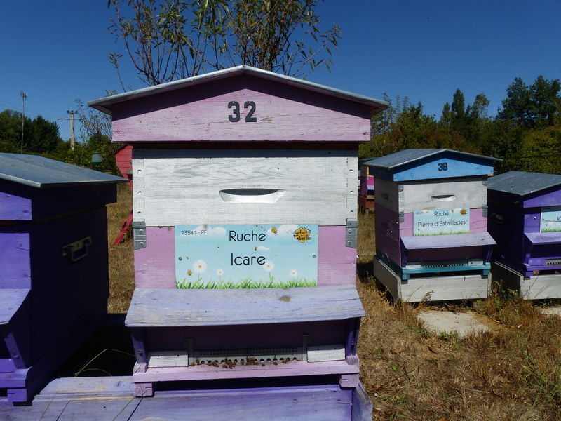 La ruche Icare