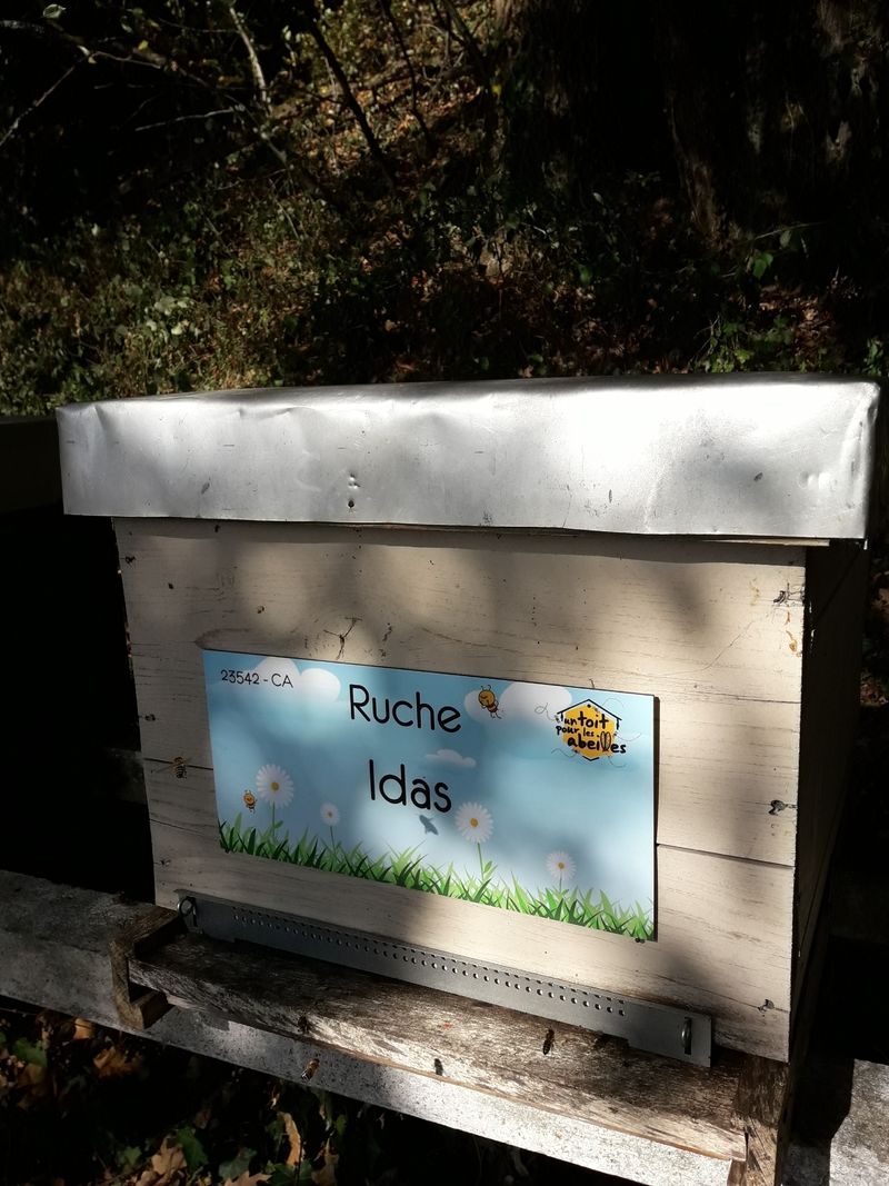 La ruche