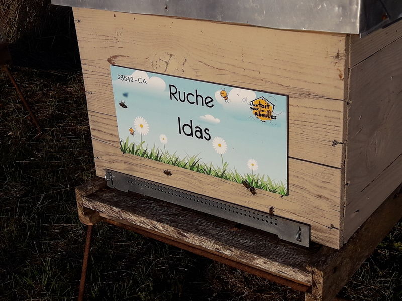 La ruche Idas