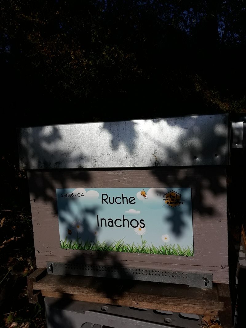 La ruche 