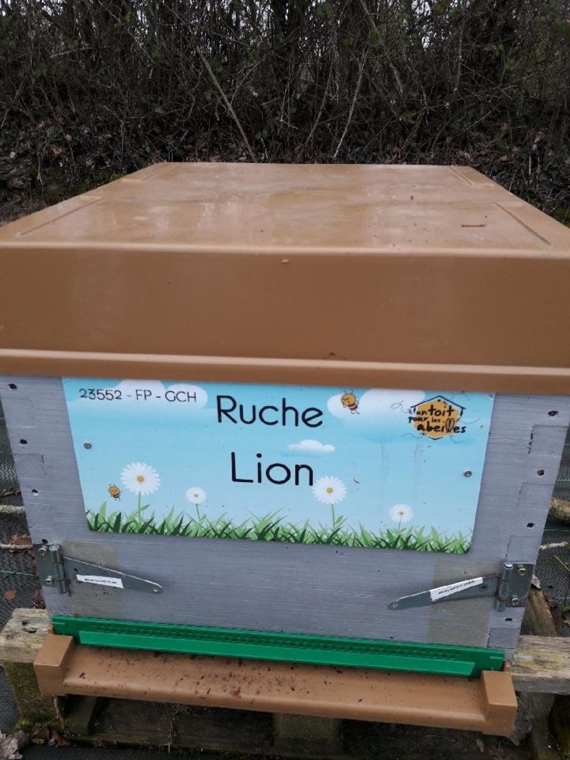 La ruche Lion