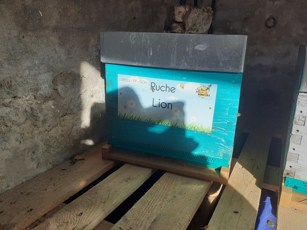 La ruche Lion