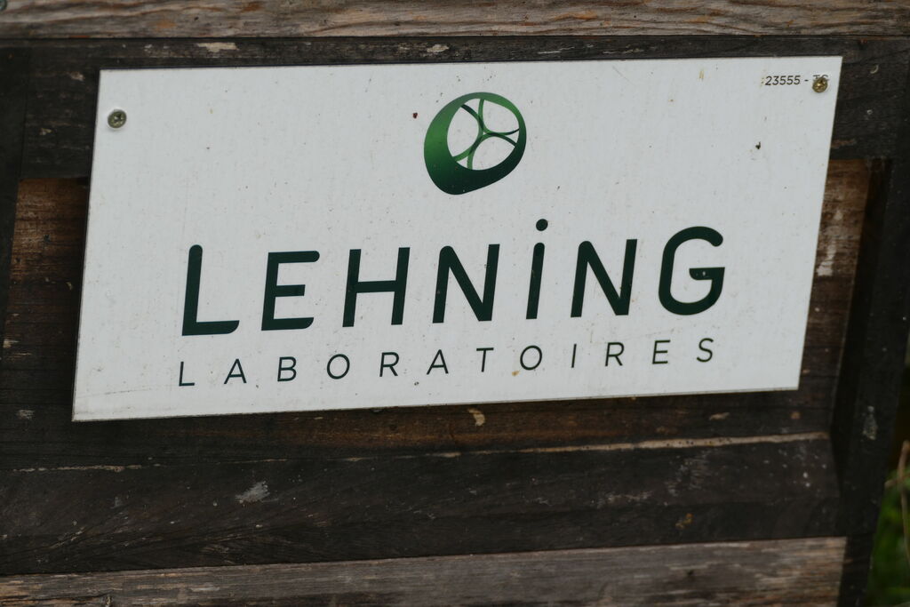 La ruche LABORATOIRES LEHNING