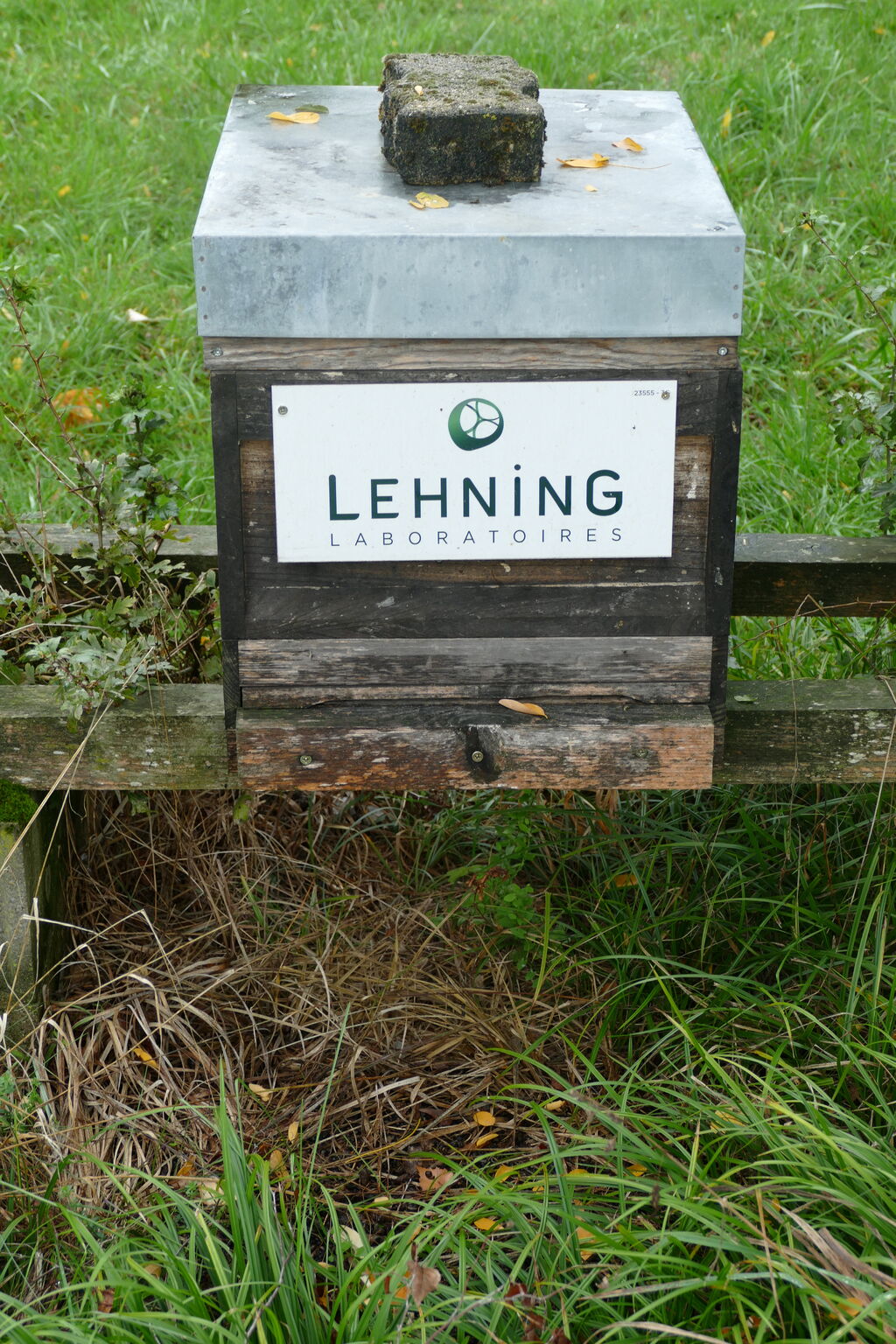 La ruche LABORATOIRES LEHNING