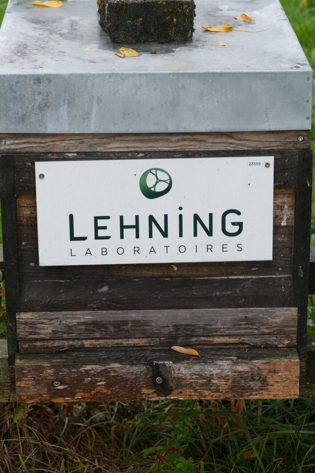 La ruche LABORATOIRES LEHNING