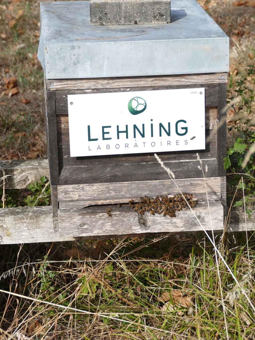 La ruche LABORATOIRES LEHNING