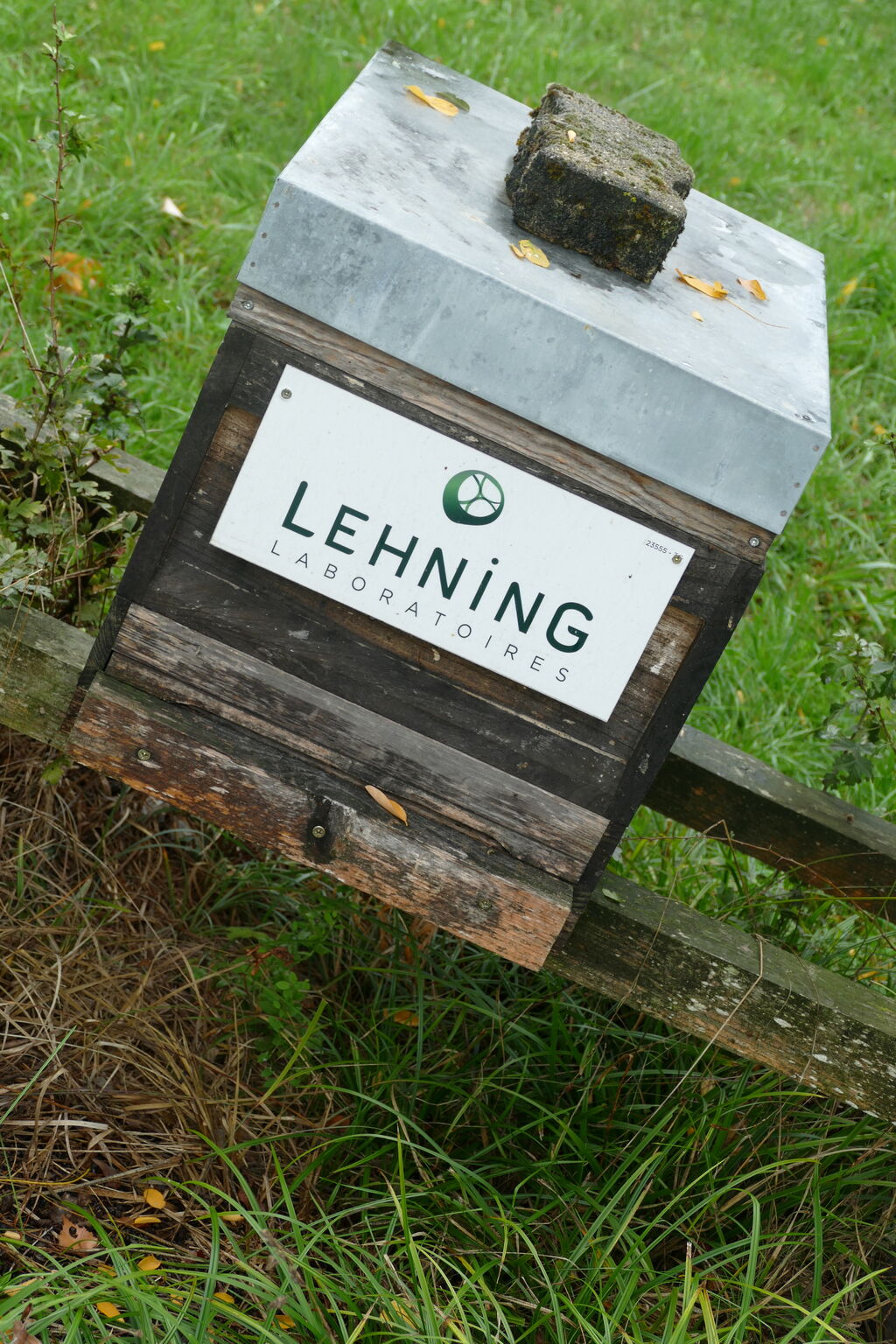 La ruche LABORATOIRES LEHNING