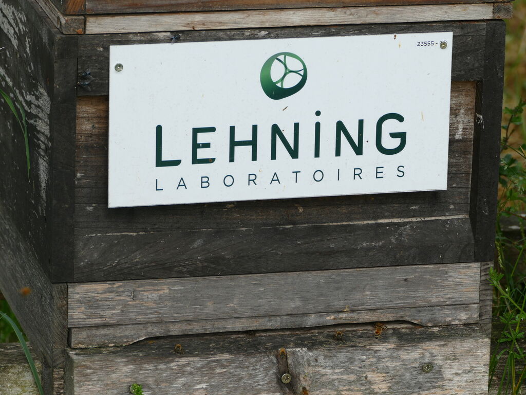 La ruche LABORATOIRES LEHNING 
