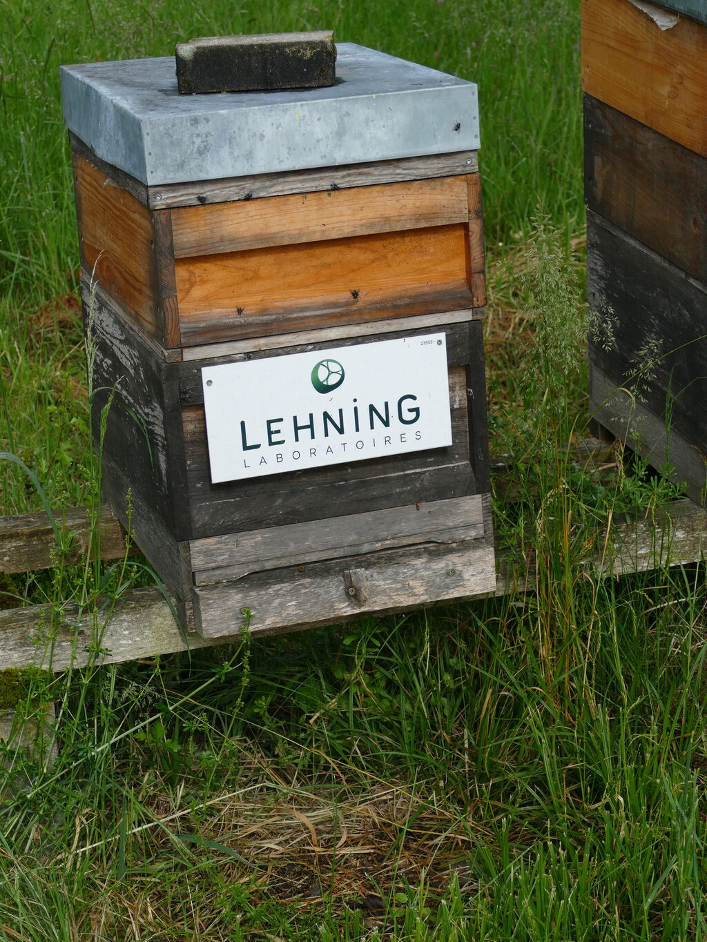 La ruche LABORATOIRES LEHNING 