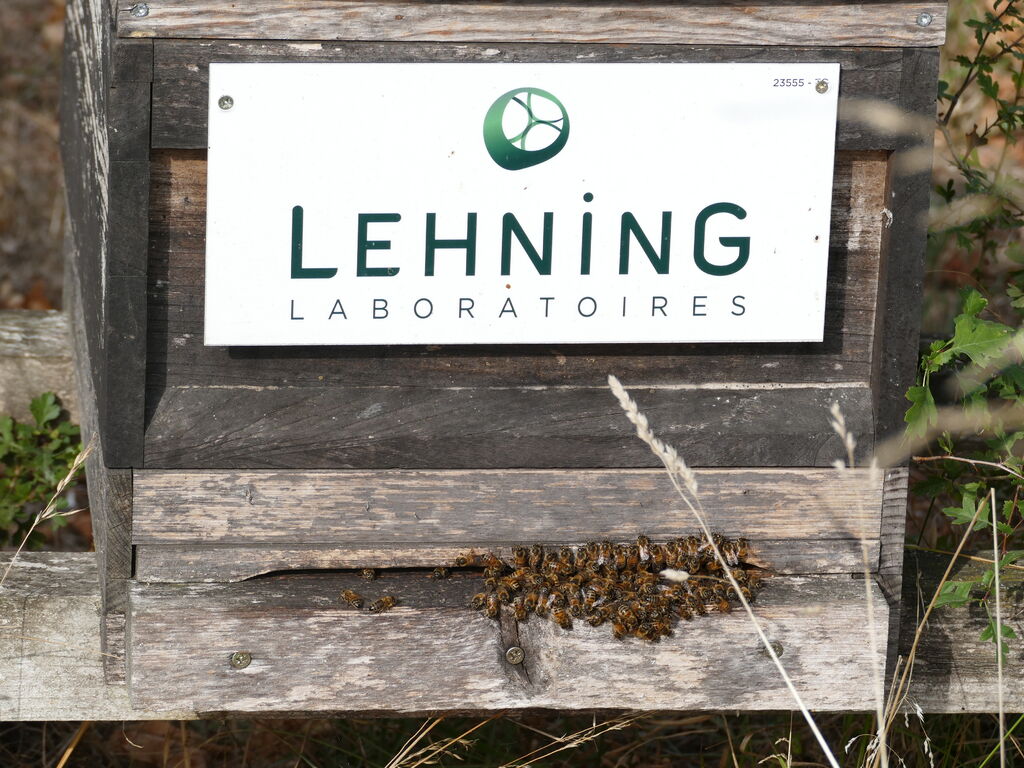 La ruche LABORATOIRES LEHNING