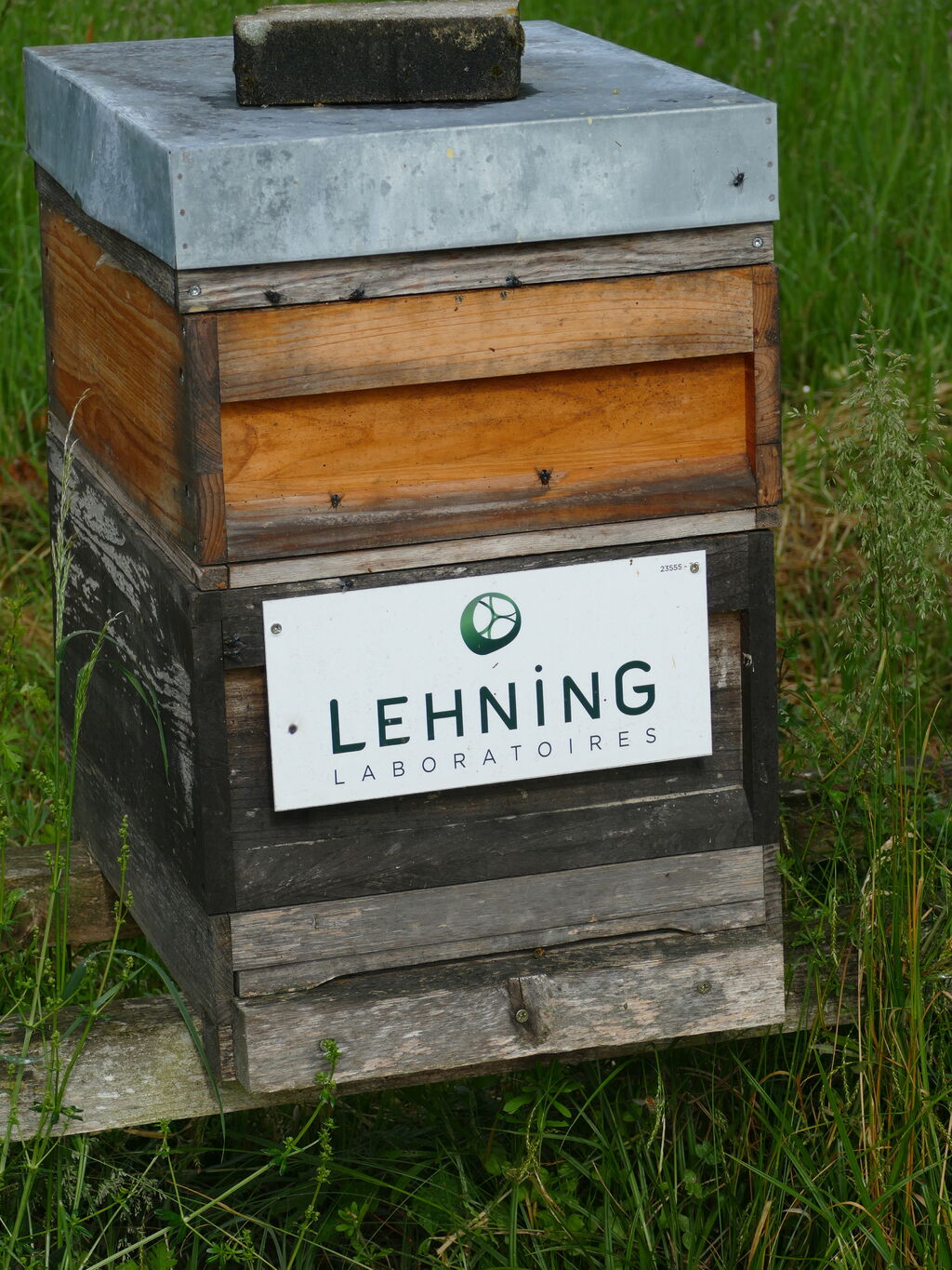 La ruche LABORATOIRES LEHNING 