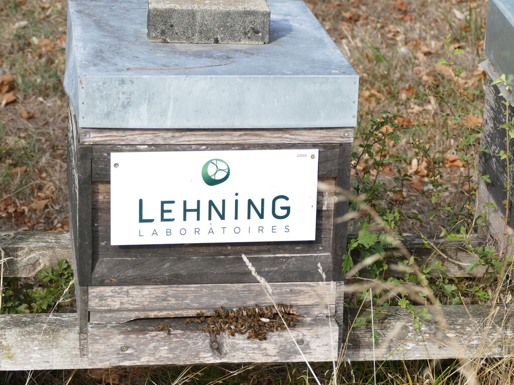 La ruche LABORATOIRES LEHNING