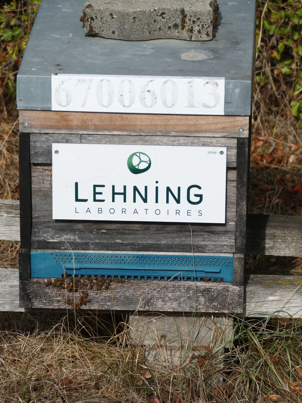 La ruche LABORATOIRES LEHNING