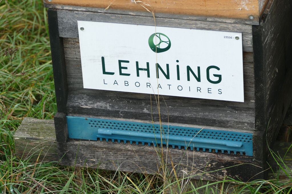 La ruche LABORATOIRES LEHNING
