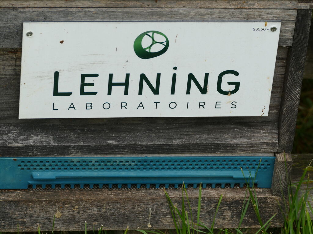 La ruche LABORATOIRES LEHNING 