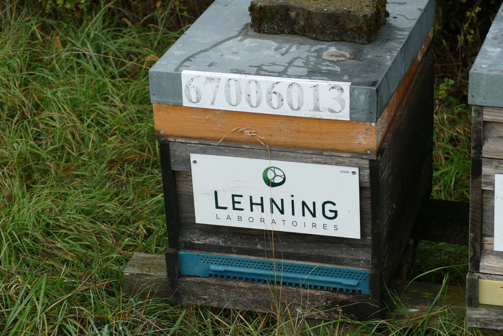 La ruche LABORATOIRES LEHNING