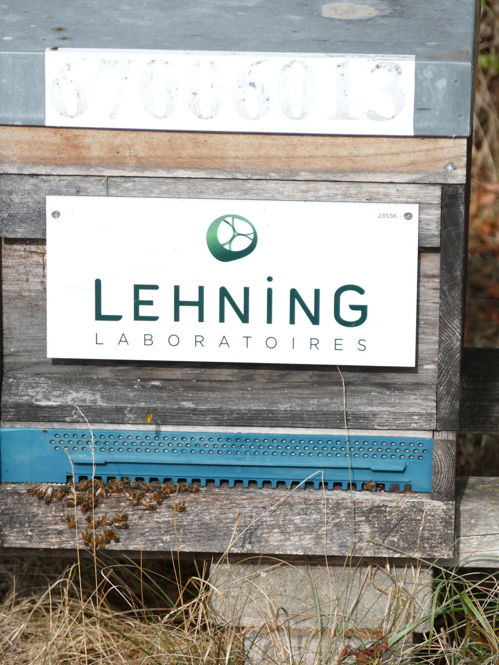 La ruche LABORATOIRES LEHNING