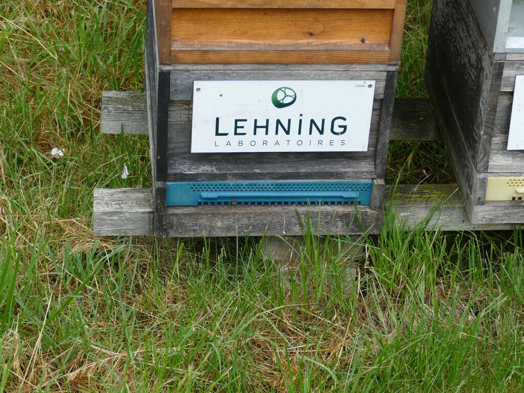 La ruche LABORATOIRES LEHNING 