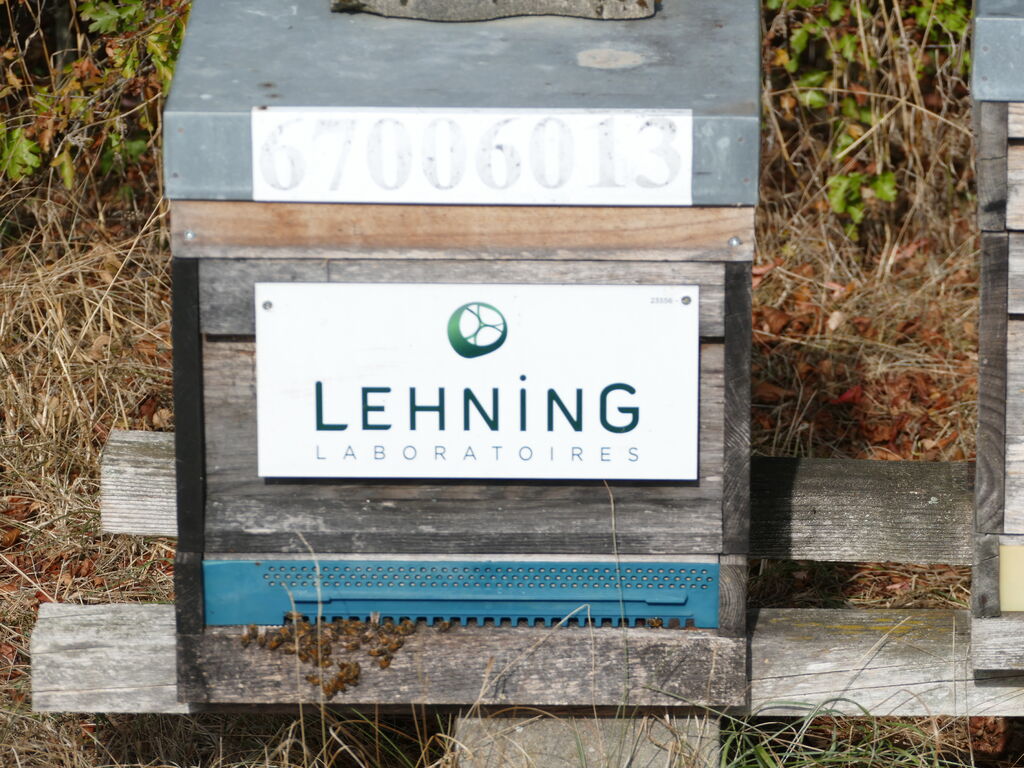 La ruche LABORATOIRES LEHNING