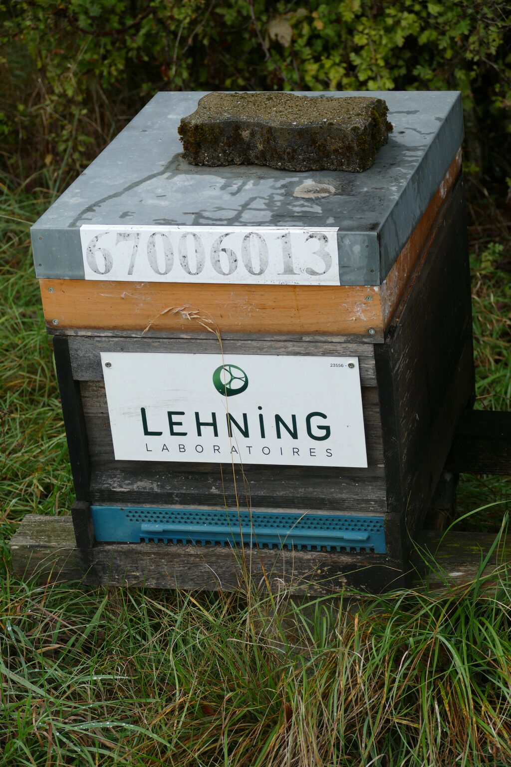 La ruche LABORATOIRES LEHNING