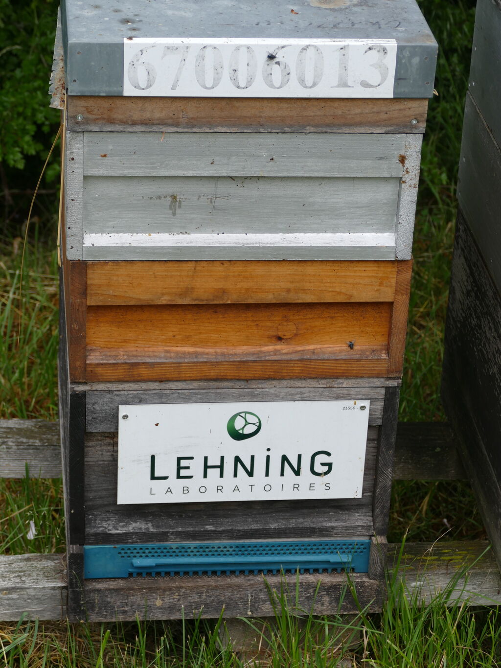 La ruche LABORATOIRES LEHNING 