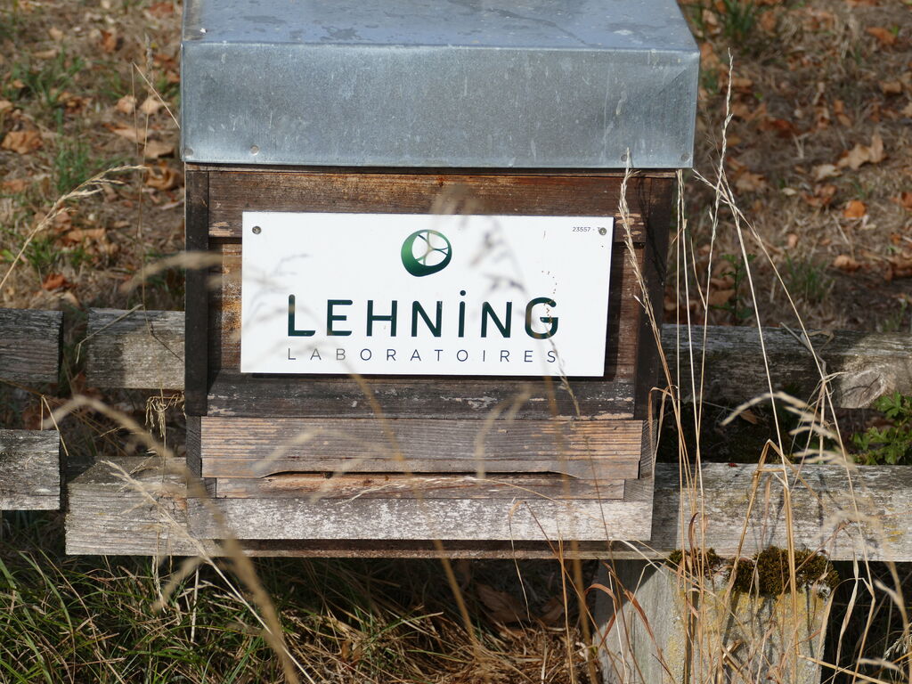 La ruche LABORATOIRES LEHNING